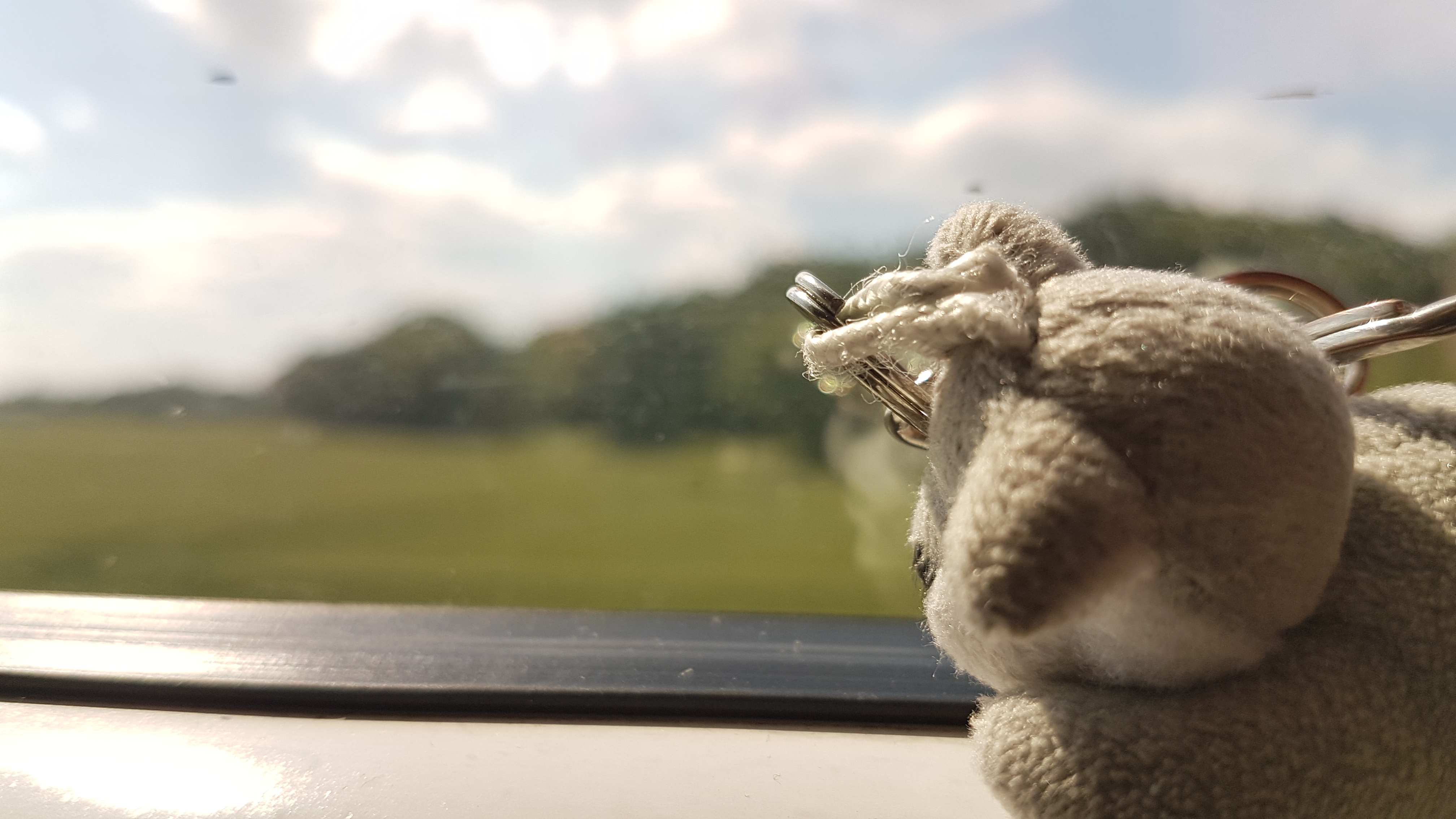 20190703_153602.jpg