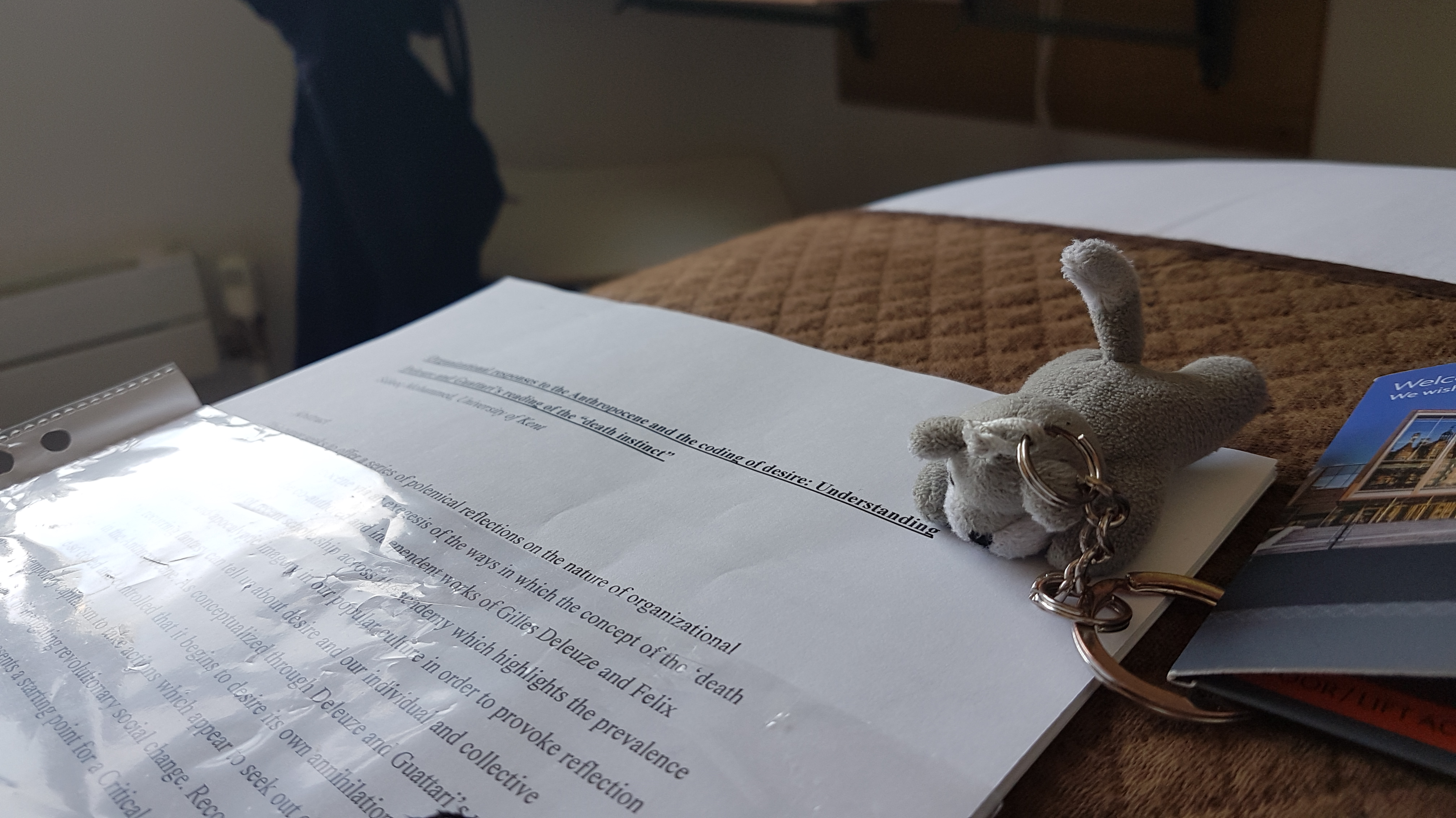 20190707_175949.jpg