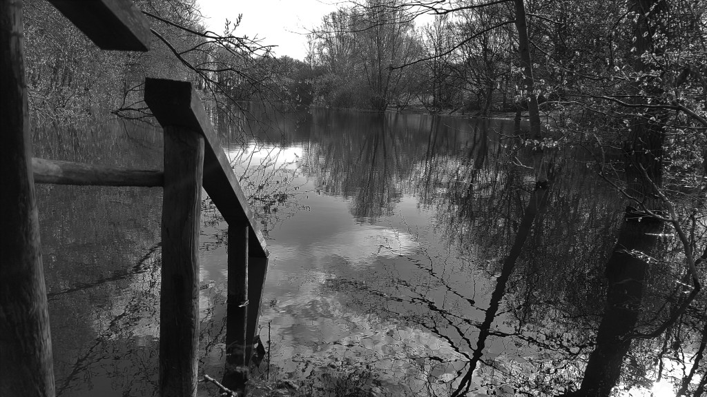Photo of a Reservoir outside Little Hall Wood.  